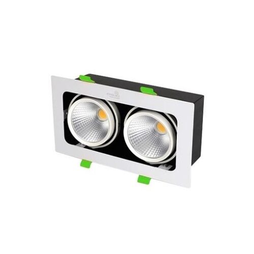 Đèn Led Hộp Âm Trần Rọi GL-2*10SS-V227-T Kingled