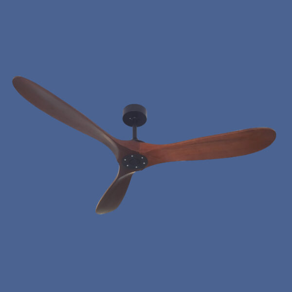 85.jpg