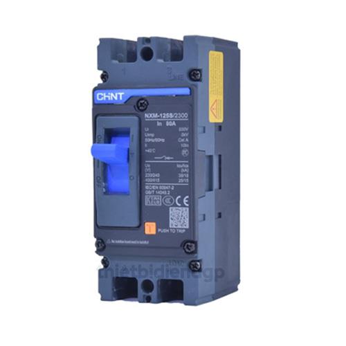 MCCB 2P NXM cố định từ nhiệt 190876 CHINT