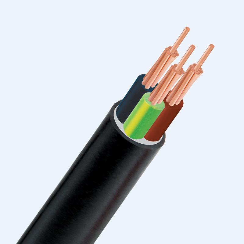 cvv-3-loi.jpg