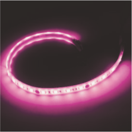 Led dây cao áp ánh sáng hồng (50m/cuộn, 6W/m, IP65) LDH01 Duhal