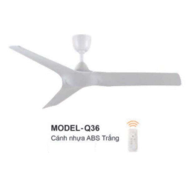 model-q36.jpg
