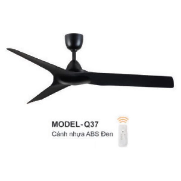 model-q37.jpg