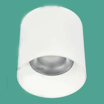 Đèn Lon ốp nổi LN-231 Euroto