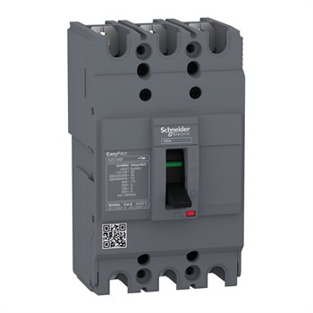 MCCB 4P NM8NL-xS TM ngắn mạch 336443 CHINT