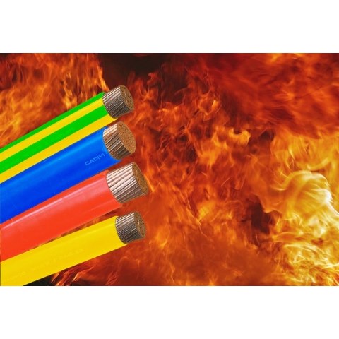 Cáp chậm cháy CXE/FRT-LSHF 2 lõi 0.6/1kV ít khói, không halogen 56007450 CADIVI