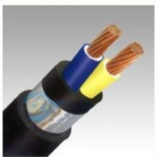 CVV/DSTA 2 lõi 0.6/1kV ruột đồng, cách điện PVC có giáp bảo vệ 56000869 CADIVI